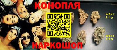 амф Заволжье