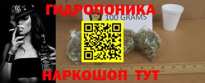 амф Заволжье
