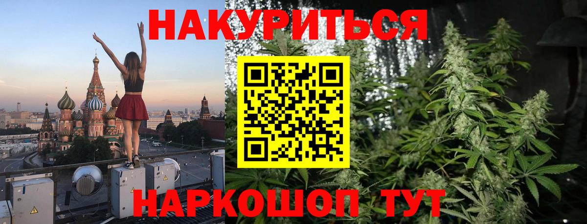 Конопля сатива Барабинск